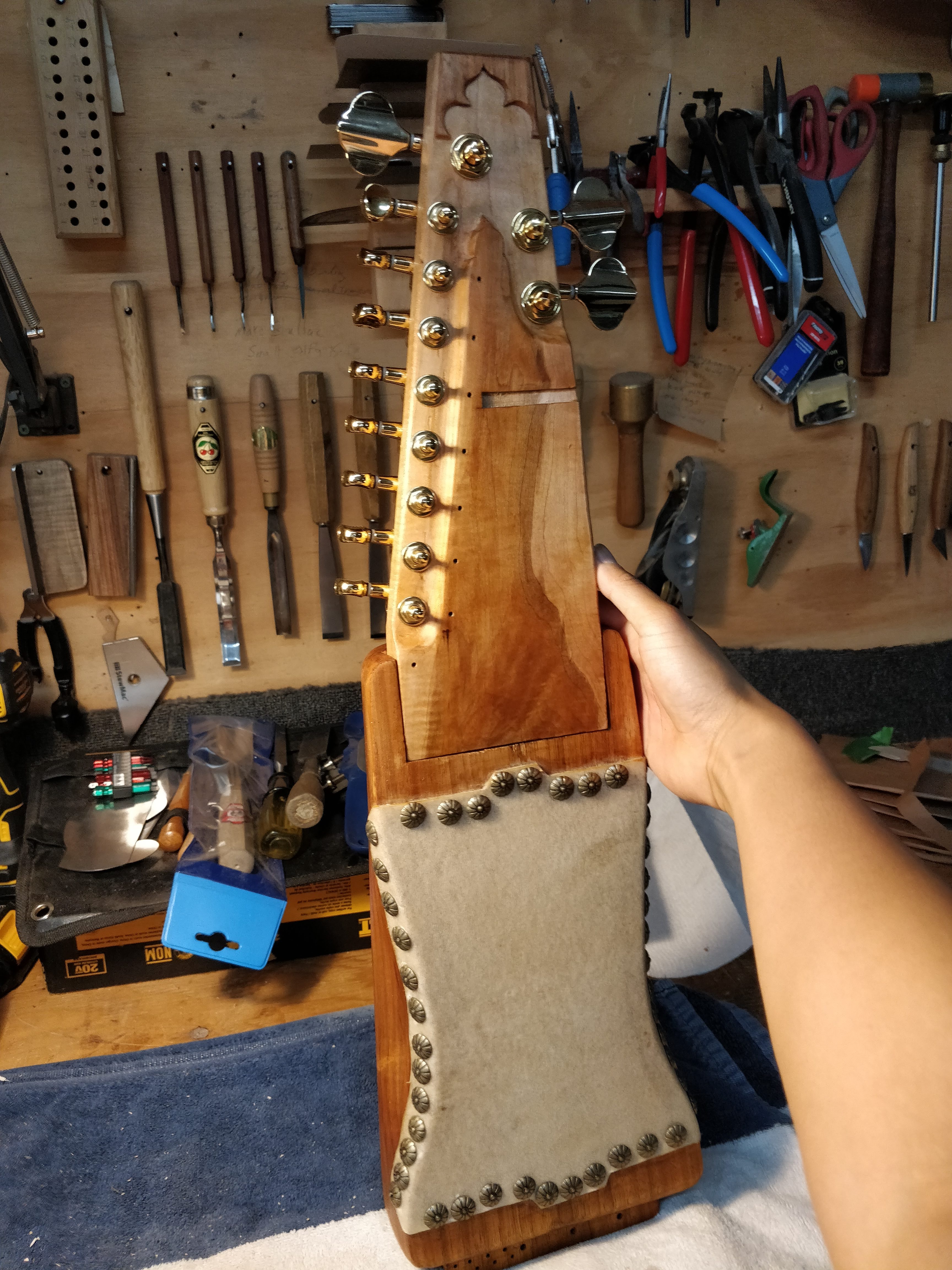 Sarangi after it was assembled for the first time.