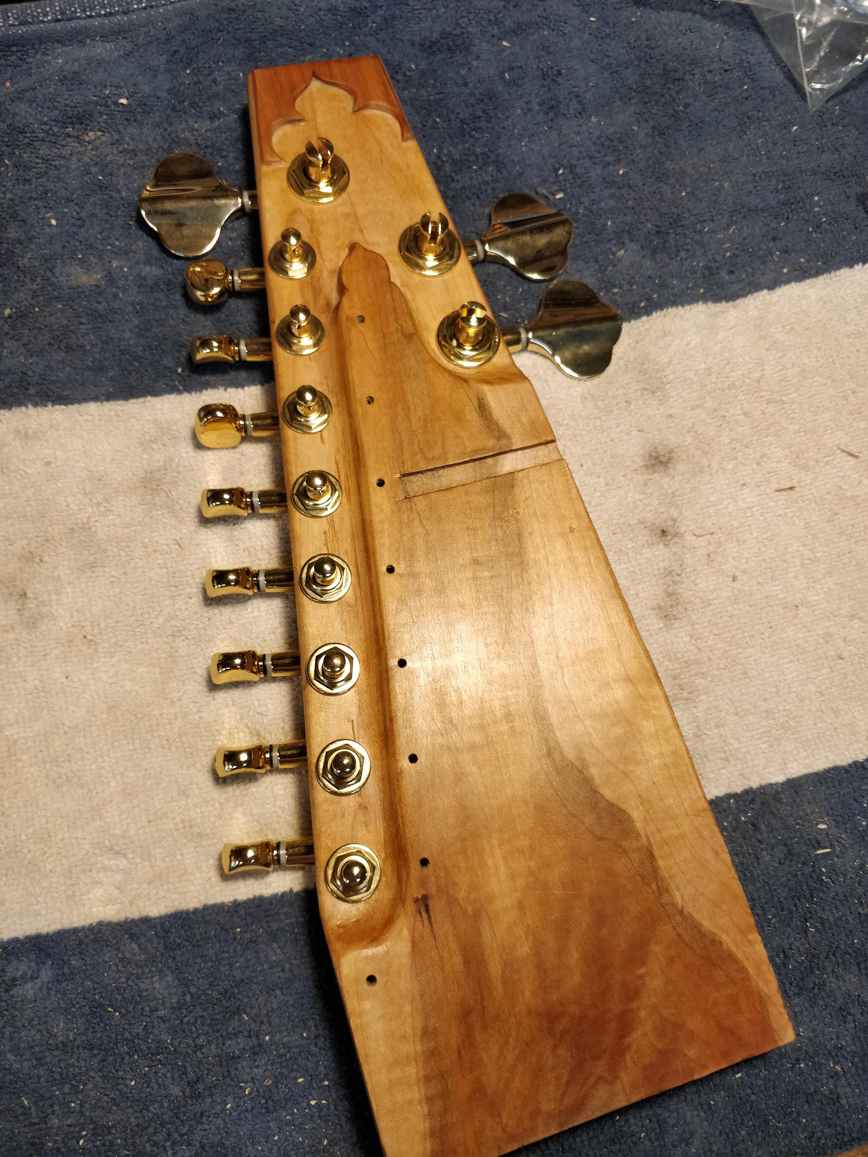 Sarangi neck with gold tuners.